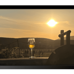 Valle de Guadalupe Sunset