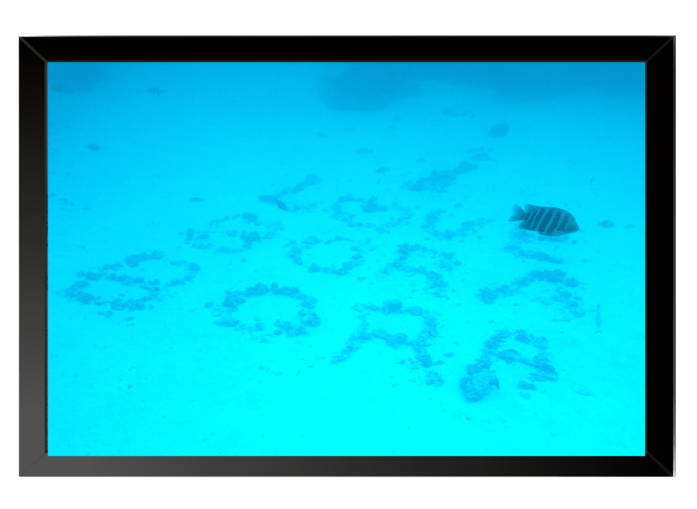 I Love Bora Bora
